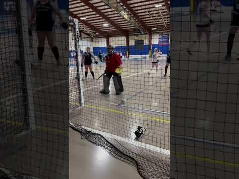 Video of 1/8/22 indoor highlight