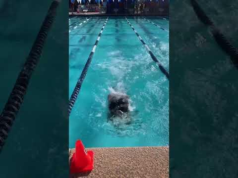 Video of November 2023 - 50 Y Freestyle