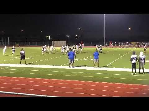 Video of Cook MS #22