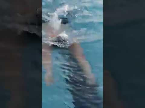 Video of Breaststroke