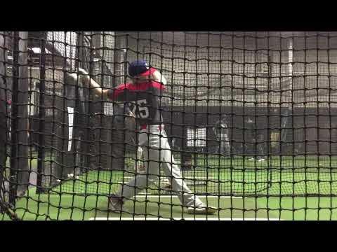 Video of Hitting - Jan 2019