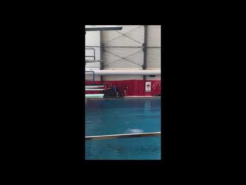 Video of Glenn Eloriaga - 3 Meter