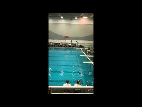 Video of 1 Meter Dives