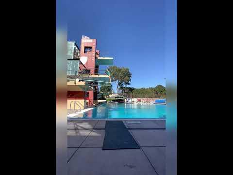 Video of izzy diving 9/23/2022