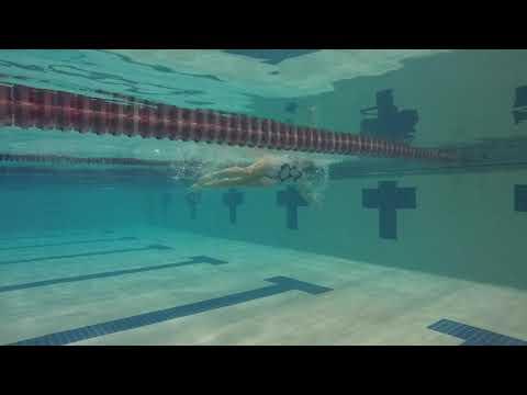 Video of 100 fly