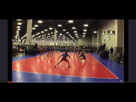 Video of Anne Haley 2025 Setter #33