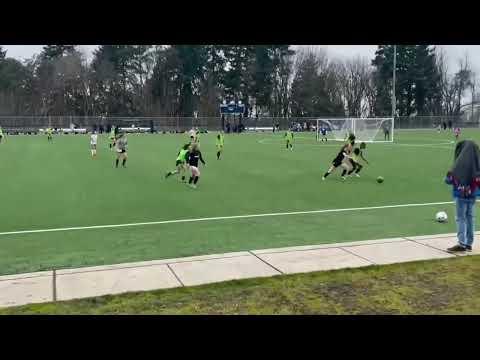 Video of Soccer Highlights 