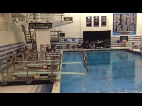 Video of Anna's Best Dives 2016