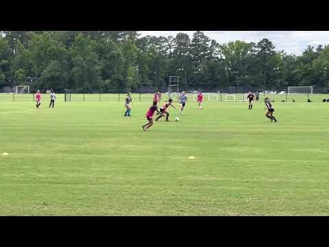 Video of 2021 Katherine Pasibe Francis Marion University ID Camp