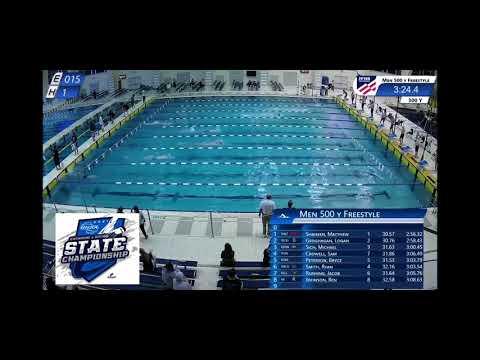 Video of 500 free Ga HS State