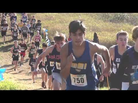 Video of Cross Country Provincial Championship Overview