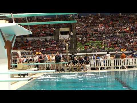 Video of Ana Laura Faoro- State 2019 Diving 