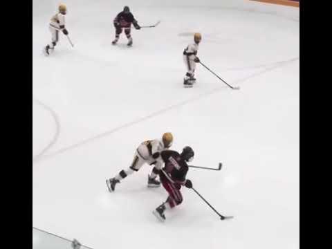 Video of Vs yale lions gold medal game 