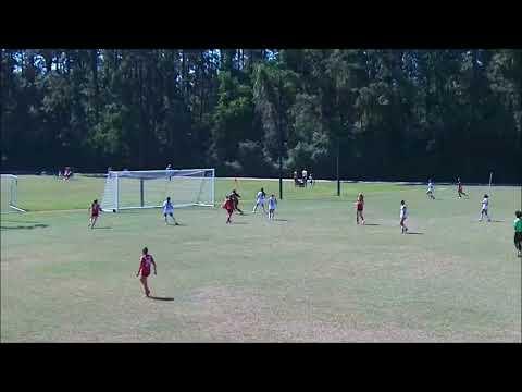 Video of Fall 2024 Highlights (short version)