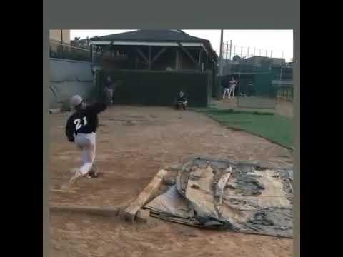 Video of My bullpen