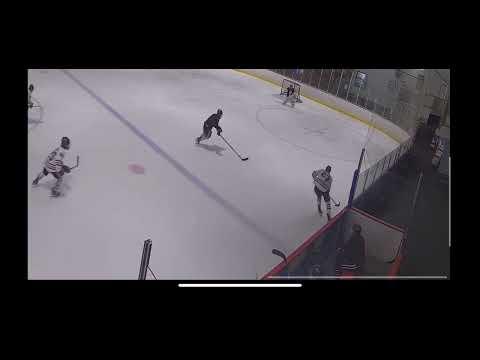 Video of Brian DeLumen hockey player 2021-22