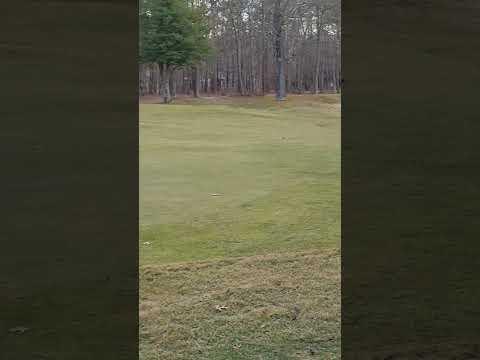 Video of 60 Yrd. Wedges