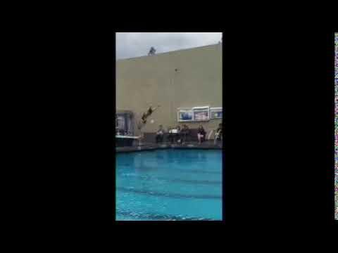 Video of Back Somersault 1 1/2 Twist