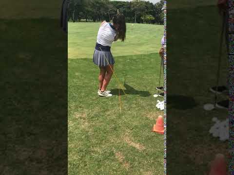 Video of Chipping