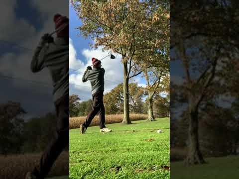 Video of Nick Baum swing highlights 11-4-21