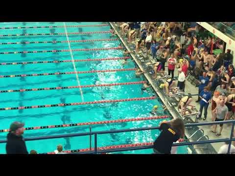 Video of Lane 10 100 Breast 2018 BG