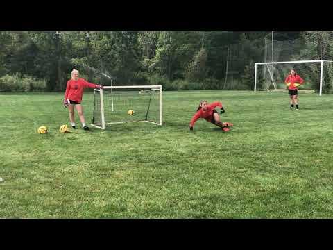 Video of Sept 2019 Training Video Ciornei Goalkeeping Academy