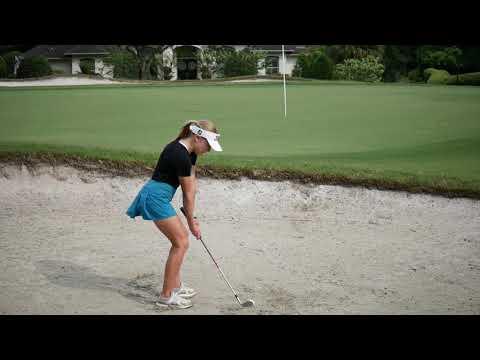 Video of Chipping