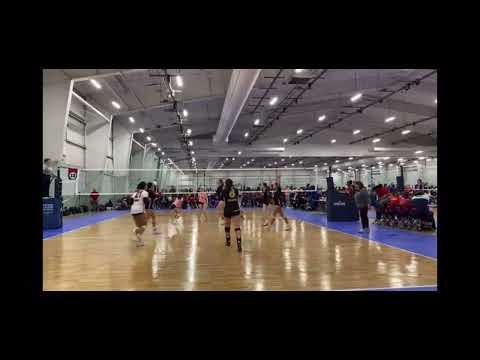 Video of MAPL York Highlights