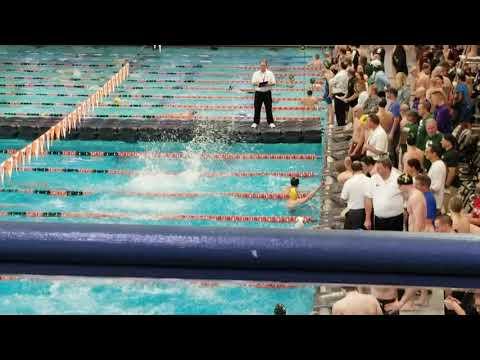 Video of 200Y Free Relay (2nd swimmer far lane)