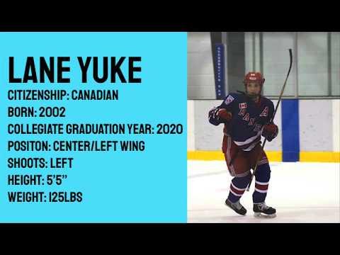 Video of Lane Yuke- Highlights 2018-2019