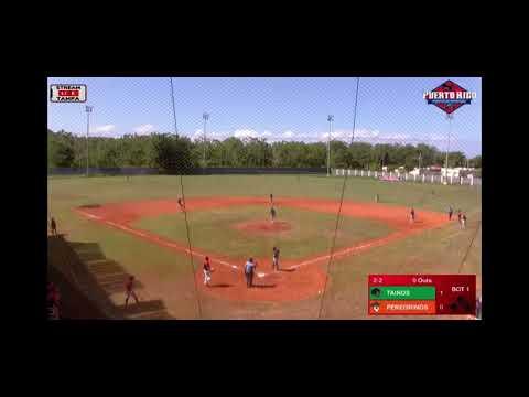 Video of Diving Catch