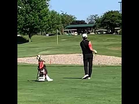 Video of Spring 2021 swing