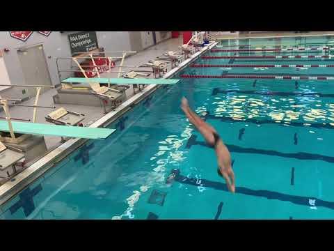 Video of Andrew Pesile - PIAA District 3 AAA Diving Championship (6th place) ~ 22 February 2020