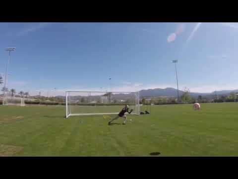 Video of Heidi Marshall 2021 Goalkeeper Training