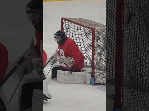 Video of Goalrobber Bismark ND 2023 + scrimmage