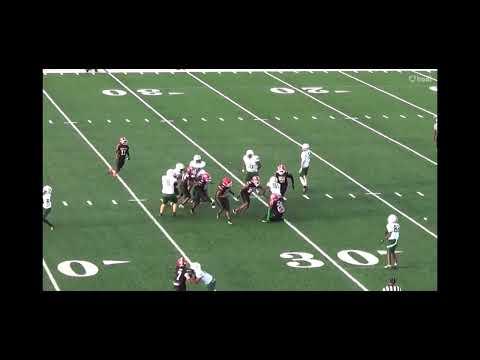 Video of Jayden Grigley 2023 Football Season