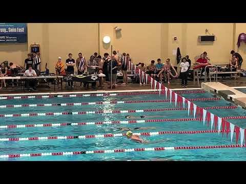 Video of 100 Fly