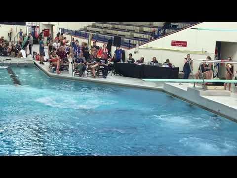 Video of 2019 USA Diving Region 7 1M Girls 14-15