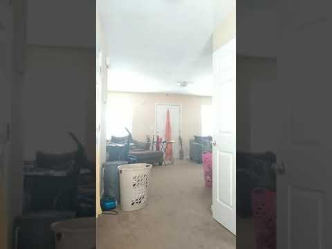 Video of Baseball in my living room