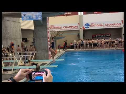 Video of Dive highlights 