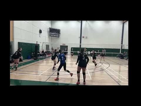 Video of Viper Cup, Libero/Ds