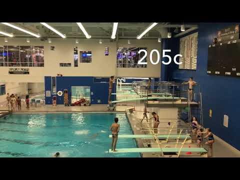 Video of Lucas Dekaney, Diving september 2018