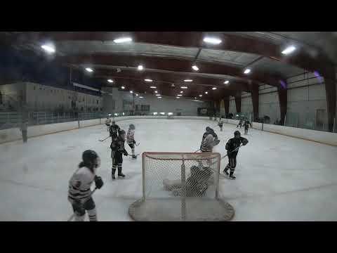 Video of Lauryn Brown 2021 Hockey Goalie