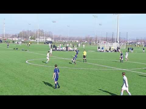 Video of Early Spring 2019 Highlights