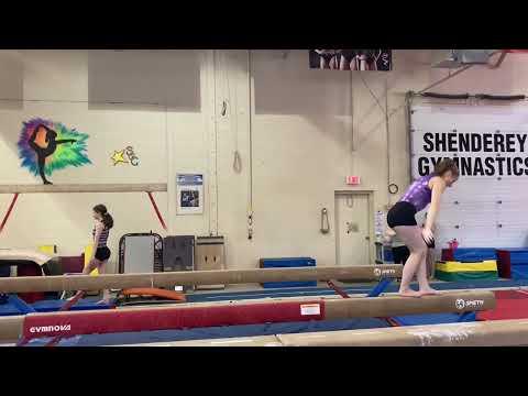 Video of Acro Series