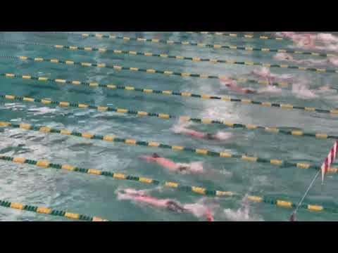 Video of 500 Free sophomore year, (right above the empty lane)