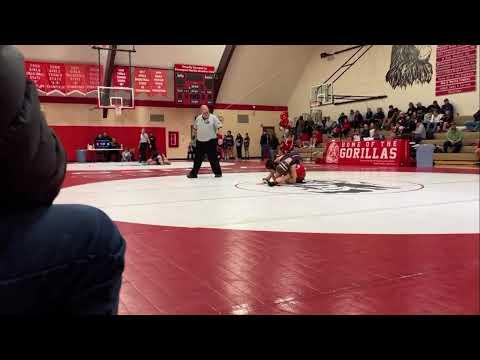 Video of Gorilla invite 