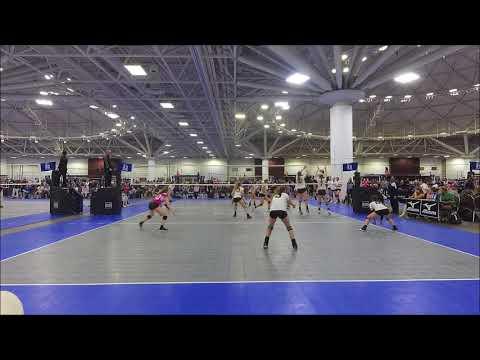 Video of NLQ Stepp Libero 2020 4.0