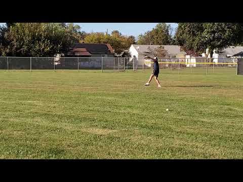 Video of Fielding 2020