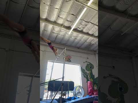 Video of Geinger Improving Training level 10